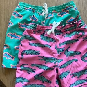 Boys Chubbies Swim Trunks size Youth Small